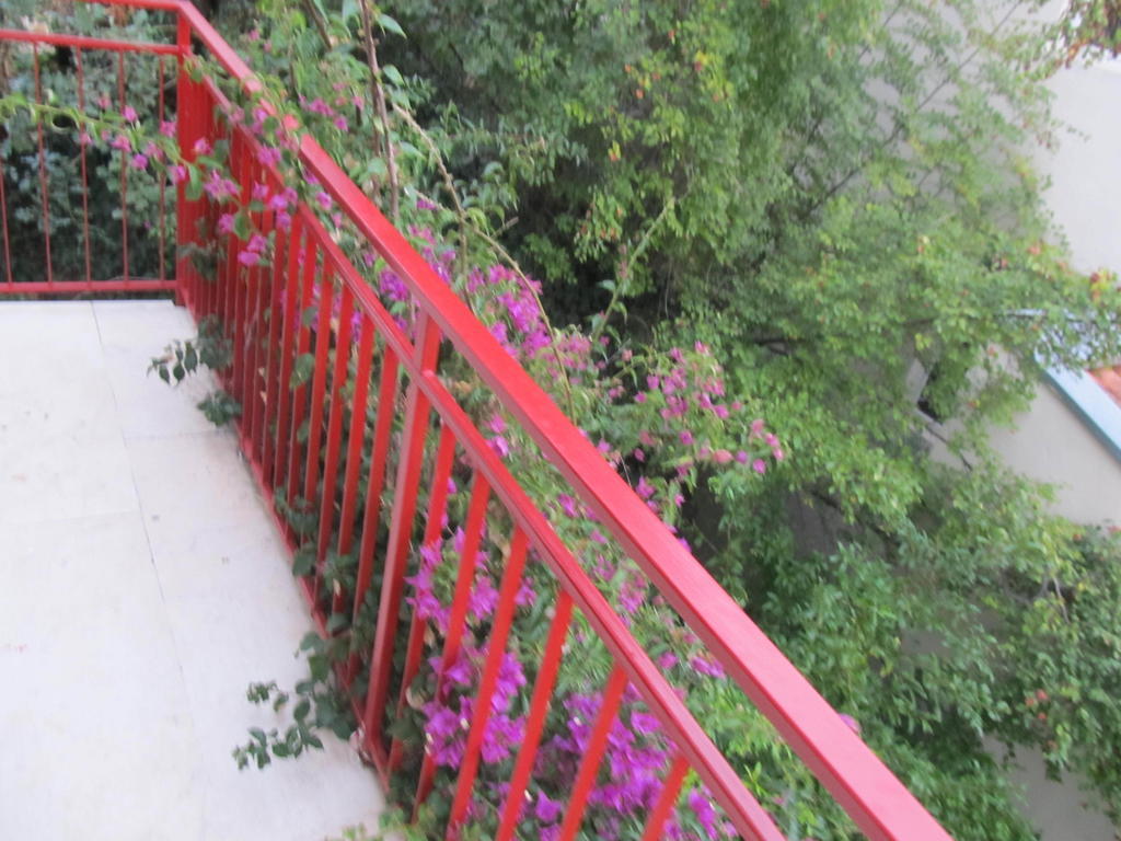 Apartments Almaja Villa Petrovac Exterior foto