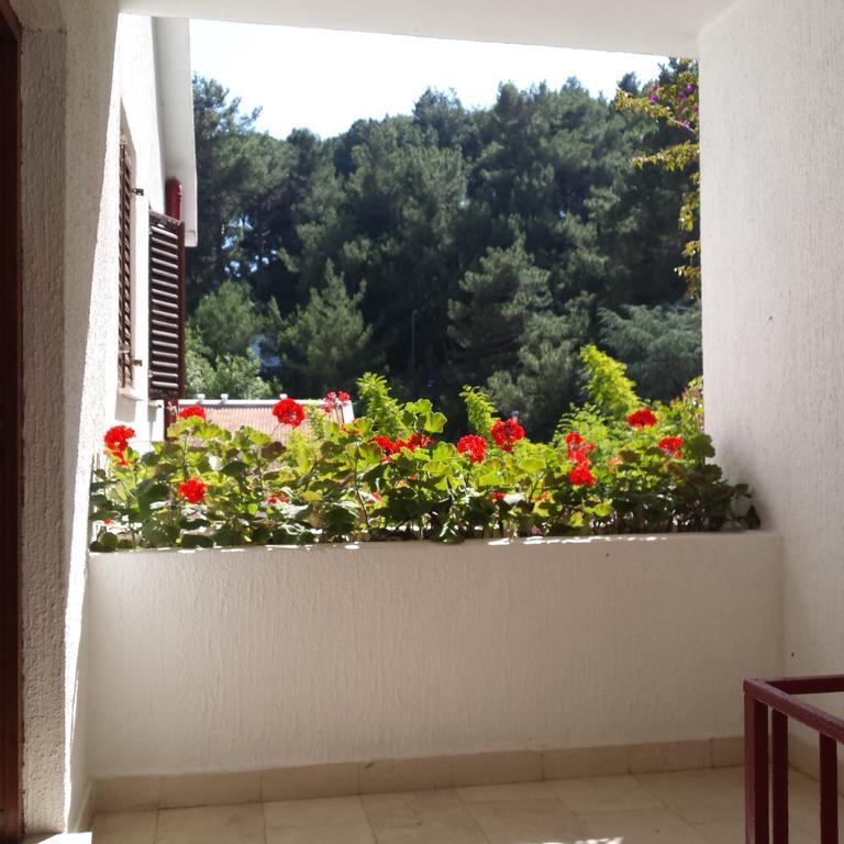 Apartments Almaja Villa Petrovac Exterior foto